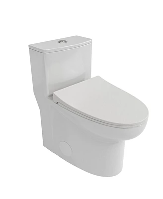 Simplie Fun Ceramic One Piece Toilet, Dual Flush With Soft Closing Seat 0002