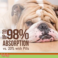 Licks Pill Free Licks Pill-Free Dog Skin and Allergy - Omega 3 Dog Allergy Relief - Dog Vitamins & Supplements for Itch Relief