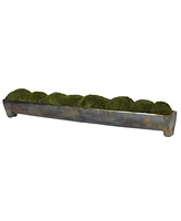 Uttermost Canal Moss