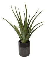 Uttermost Tucson Aloe Planter