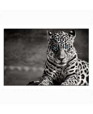 Simplie Fun Spotted Leopard In And Acrylic Wall Art (32 H X 48 W)