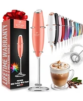 Handheld Milk Frother Stainless Steel Single Whisk with Stand