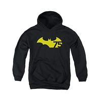 Batman Boys Youth 75 Logo 2 Pull Over Hoodie / Hooded Sweatshirt