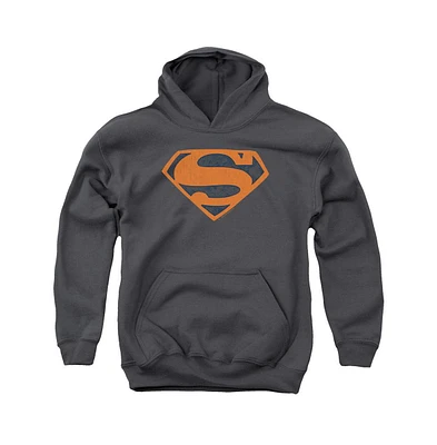 Superman Boys Youth Vintage Shield Collage Pull Over Hoodie / Hooded Sweatshirt