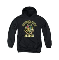 Harry Potter Boys Youth Hogwarts Alumni Pull Over Hoodie / Hooded Sweatshirt