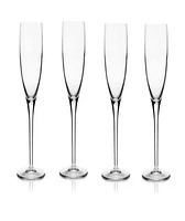 Luigi Bormioli Michelangelo Champange Glasses, Set of 4