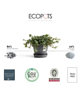 Ecopots Antwerp Indoor and Outdoor Planter with Saucer, 4.5in