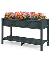 Costway Hips Raised Garden Bed Poly Wood Elevated Planter Box with Legs, Storage Shelf