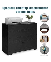 Costway 2-Drawer Lateral File Cabinet w/Adjustable Bars for Home Office