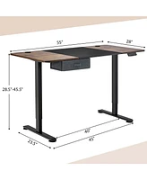 Costway Electric Standing Desk 55'' x 28'' Height Adjustable Sit Stand with Usb Charging Port