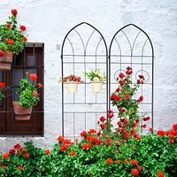 Metal Garden Trellis 78.7" X 19.7" for Climbing Plants