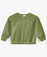 First Impression Baby Boys Solid Velour Sweatshirt, Created for Macy's