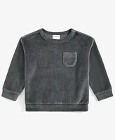 First Impression Baby Boys Solid Velour Sweatshirt, Created for Macy's