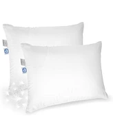 East Coast Bedding Medium Down Pillow 600 Fill Power Standard Set of 2