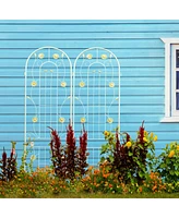 Rustproof Metal Garden Trellis for Climbing Plants