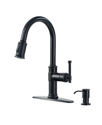 Mondawe Pull-out Kitchen Faucets Single Hole Kitchen Faucets with Soap Dispenser