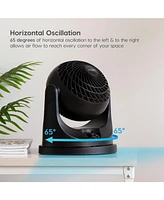 Iris Usa Woozoo Fan, Small Oscillating Desk Fan, Table Air Circulator, 3 Speeds, 52ft Max Air Distance, 12 Inches, 112° Adjustable Tilt