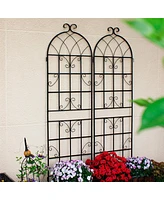 Streamdale Furniture Metal Garden Trellis 71" x 19.7" for Climbing Plants