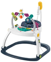 Fisher Price Astro Kitty Jumperoo Activity Center
