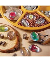 Kaplan Early Learning Specimen Stones: Plants