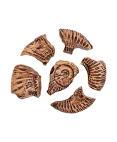 Kaplan Early Learning Magnetic Fossil 3D Puzzle - Ammonite - 6 Pieces