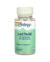 Solaray Lactase