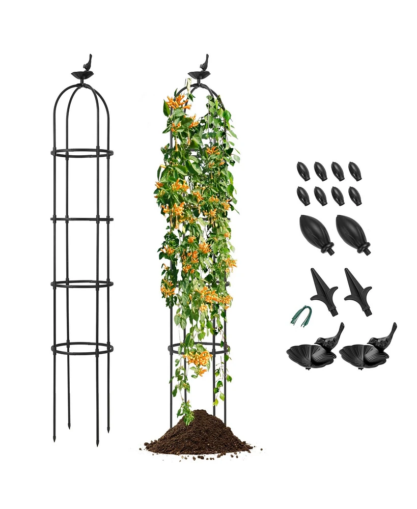 2-Pack Garden Obelisk Trellis for Climbing Plants-Black