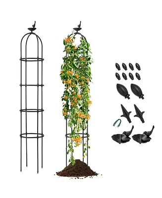 2-Pack Garden Obelisk Trellis for Climbing Plants-Black
