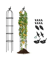2-Pack Garden Obelisk Trellis for Climbing Plants-Black