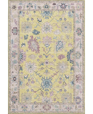 Dalyn Hatay Washable HY7 5'x7'6"Area Rug