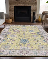 Dalyn Hatay Washable HY7 10'x14' Area Rug