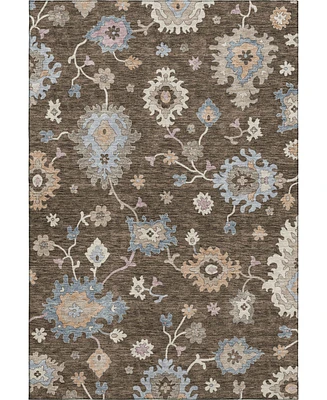 Dalyn Hatay Washable HY4 9'x12' Area Rug