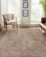 Dalyn Vienna VI5 9'x13'2 Area Rug