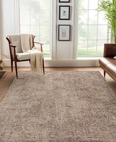 Dalyn Vienna VI5 3'x5' Area Rug