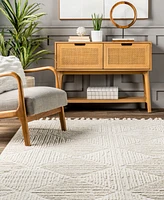 Nuloom Donna Kerry 10'x14' Area Rug