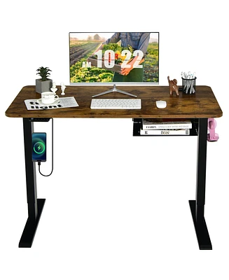 Slickblue 48-inch Electric Height Adjustable Standing Desk with Usb Port