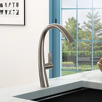 Kitchen Faucet With Pull Out Sprayer, Brushed Nickel
