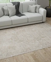 Km Home Castille CSL016 4'x6' Area Rug