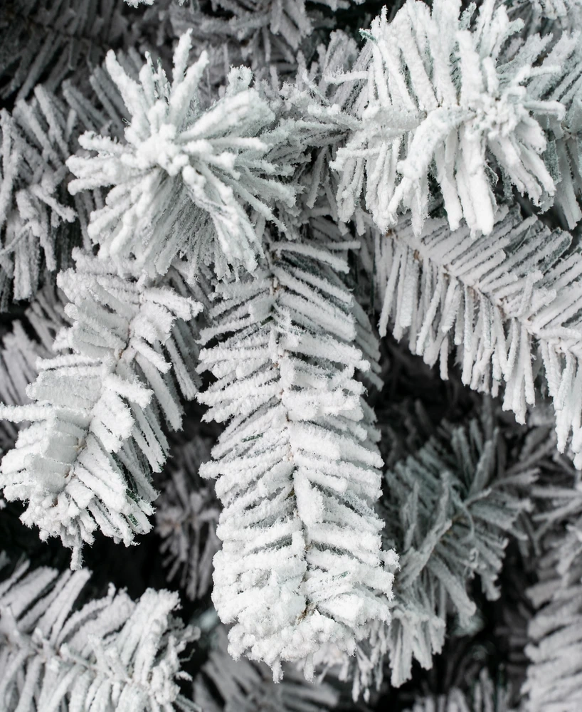 National Tree Company, First Traditions 6 ft. Acacia Flocked Tree