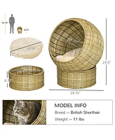 PawHut Elevated Cat Bed with Stand Cushion, Kitty House, 20" x 23.5"H