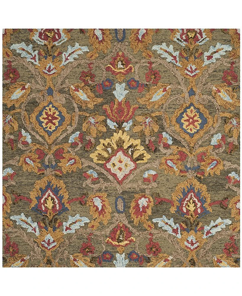 Safavieh Blossom Ii BLM402 4'x4' Square Area Rug