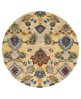 Safavieh Blossom Ii BLM402 6'x6' Round Area Rug