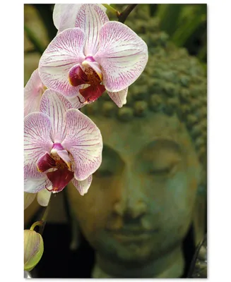 Orchids and Buddha by Kurt Shaffer Canvas Art