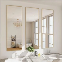 Homlux Rectangular Wall Mounted Mirror 14"x48" in Gold