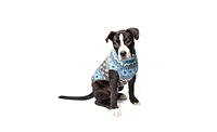 Chilly Dog Light Blue Fairisle