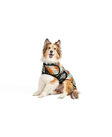 Chilly Dog Xxl Black Canyon Dog Blanket Coat