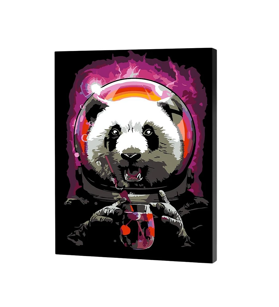 Artwille Paint by Number Kit Panda Astronaut