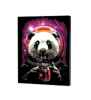 Artwille Paint by Number Kit Panda Astronaut