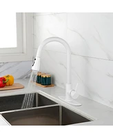 Streamdale Furniture Kitchen Faucet With Pull Out Sprayer