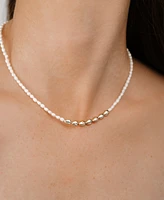 Ettika Freshwater Pearl Polished Pebble Beaded Necklace